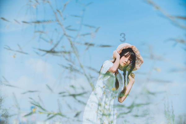雏菊花园逃生